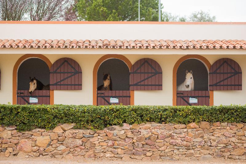 Vila Gale Alentejo Vineyards (Clube de Campo) - Aktivite