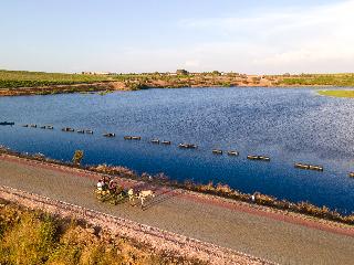 Vila Gale Alentejo Vineyards (Clube de Campo) fotoÄŸrafÄ±