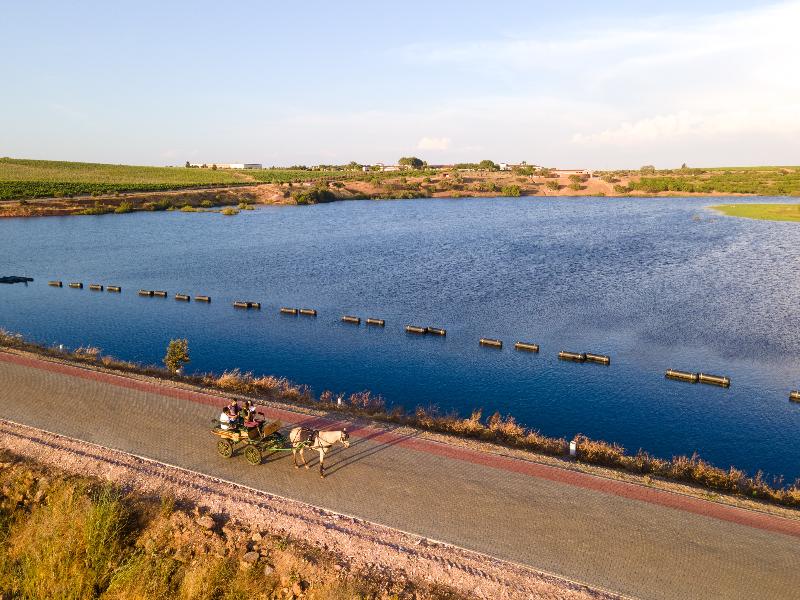 Vila Gale Alentejo Vineyards (Clube de Campo) - Genel