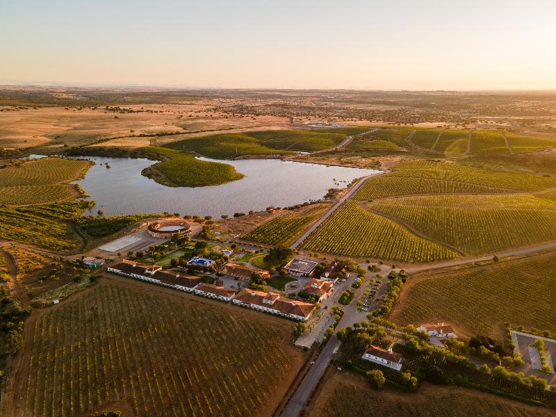 Vila Gale Alentejo Vineyards (Clube de Campo) - Genel
