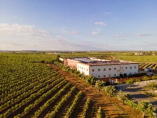 Vila Gale Alentejo Vineyards (Clube de Campo) fotoÄŸrafÄ±
