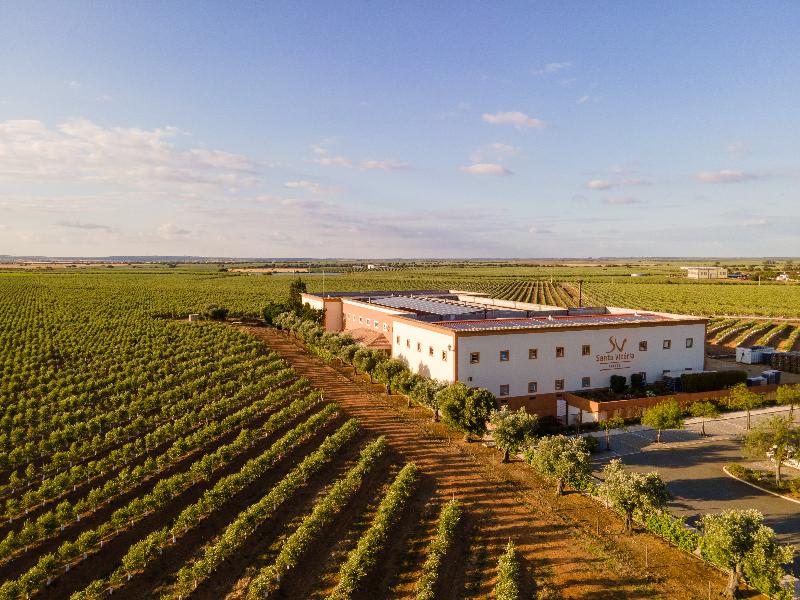 Vila Gale Alentejo Vineyards (Clube de Campo) - Genel