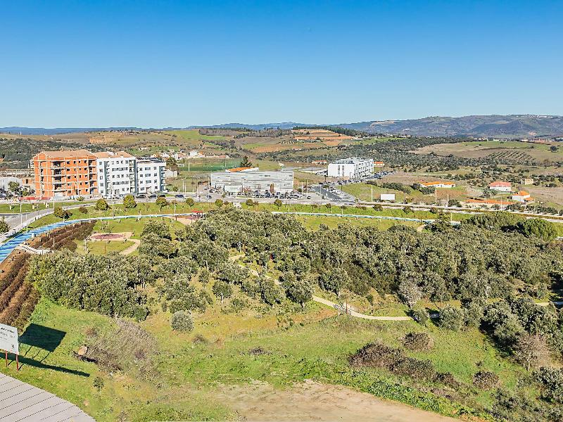 Ibis Braganca - Aktivite