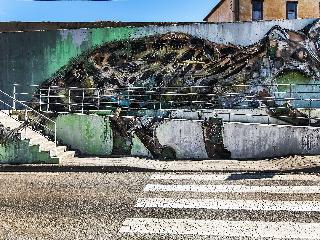 Ibis Braganca fotoÄŸrafÄ±