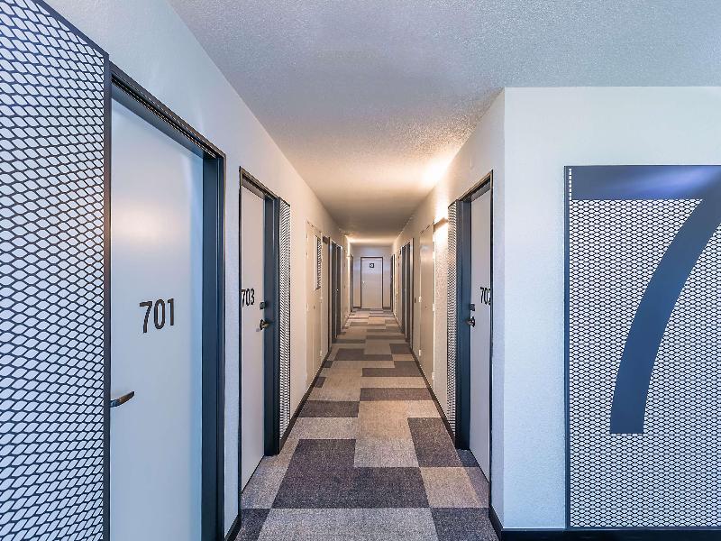 Ibis Braganca - Genel