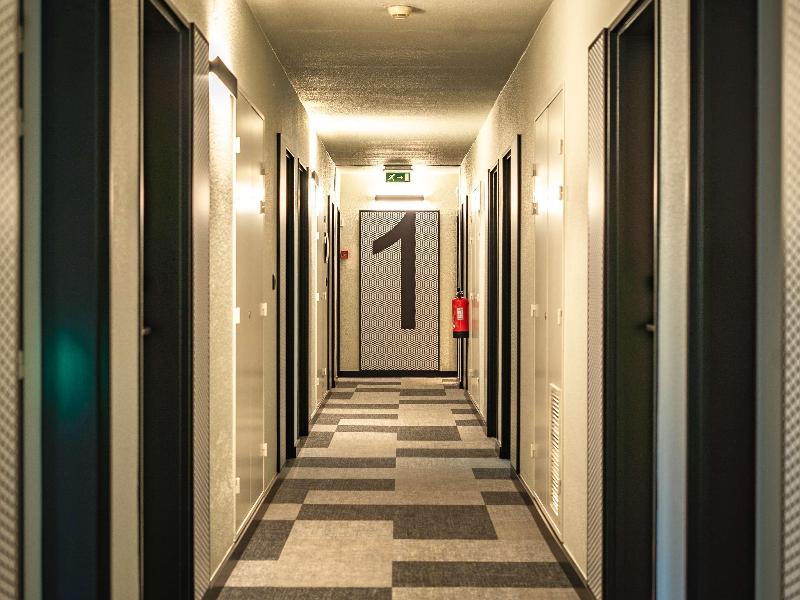 Ibis Guimaraes - Oda