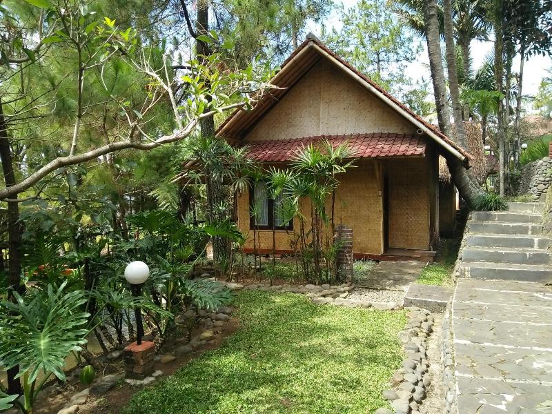 Bukit Alamanda - Genel