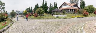 Berlian Resort-Cipanas otel fotoğrafı