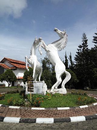 Berlian Resort-Cipanas fotoÄŸrafÄ±