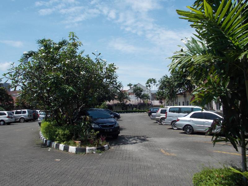 Puri Jaya - Genel