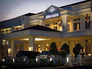 Ammi Hotel otel fotoğrafı
