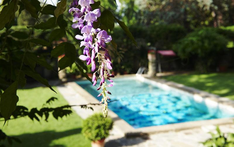 Park Palace Hotel - Havuz