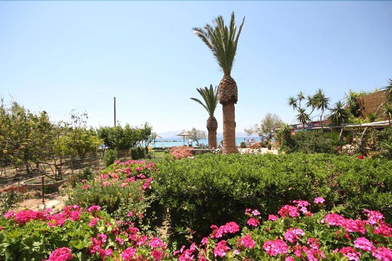 Agia Anna Hotel - Genel