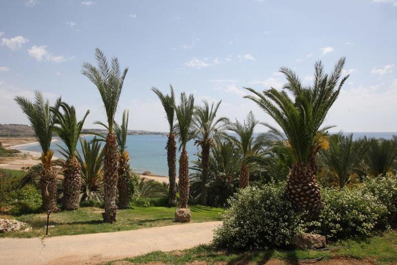 Ascos Coral Beach - Plaj
