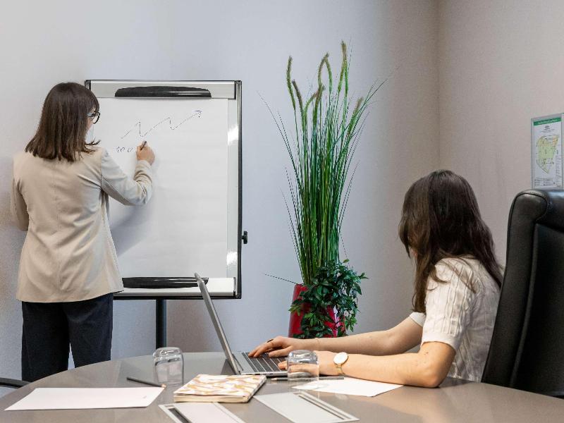 Mercure Toulouse Sud - Toplantı