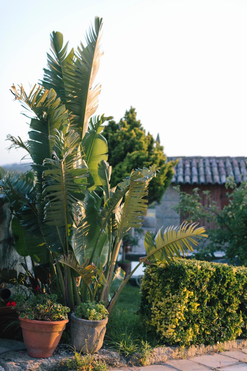 Hotel O Castro - Genel