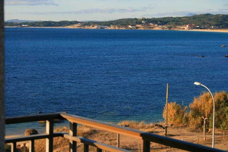 Delfin Azul