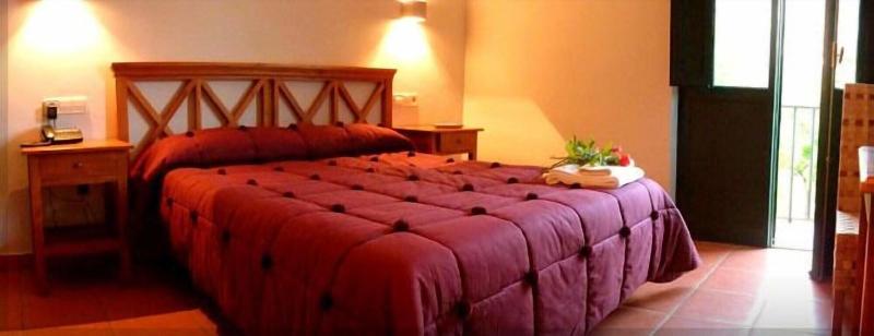 Hotel rural Aldeaduero - Oda