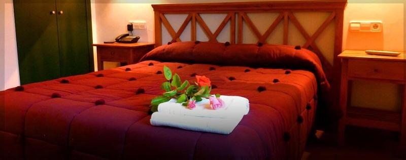 Hotel rural Aldeaduero - Oda
