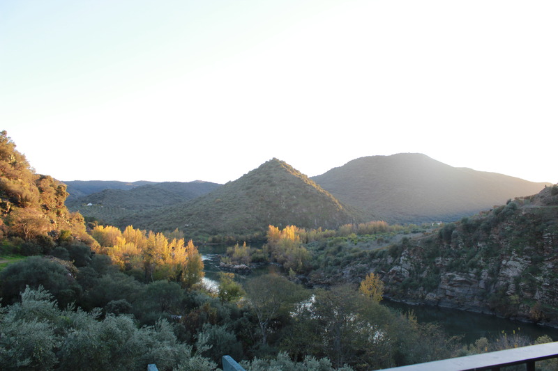 Hotel rural Aldeaduero - Oda