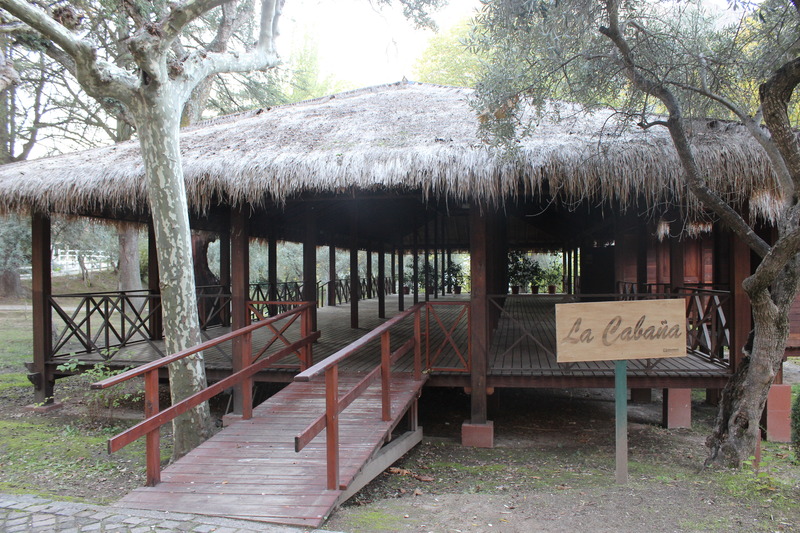 Hotel rural Aldeaduero - Teras