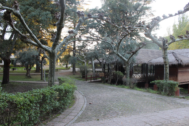 Hotel rural Aldeaduero - Teras