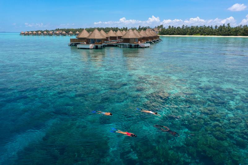 Mercure Maldives Kooddoo Resort - Aktivite
