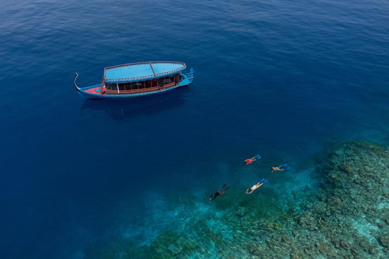 Mercure Maldives Kooddoo Resort - Aktivite