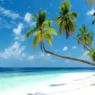 Mercure Maldives Kooddoo Resort fotoÄŸrafÄ±