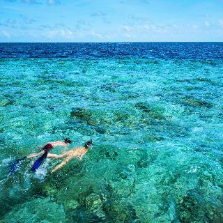 Mercure Maldives Kooddoo Resort fotoÄŸrafÄ±