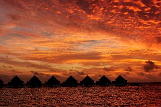 Mercure Maldives Kooddoo Resort fotoÄŸrafÄ±