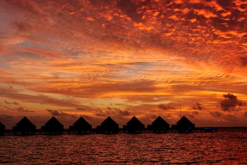 Mercure Maldives Kooddoo Resort - Teras