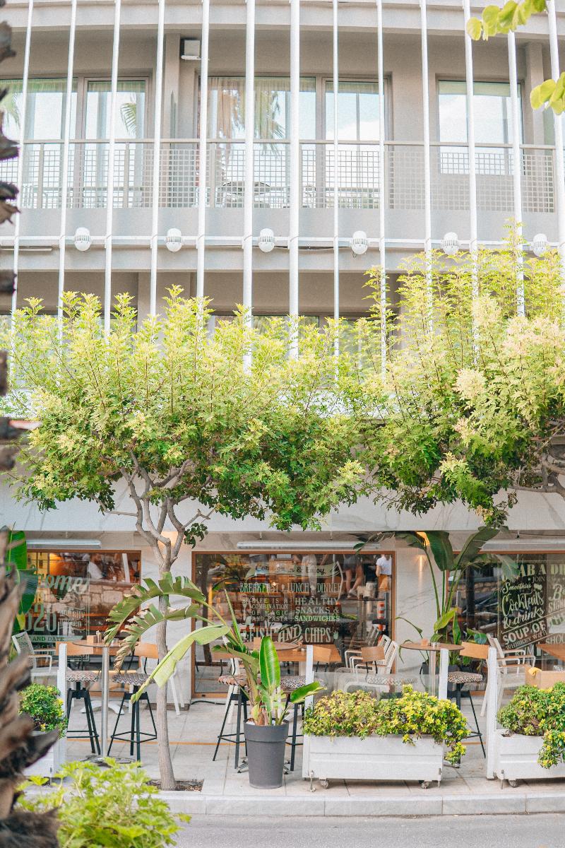 Olive Green Hotel - Genel