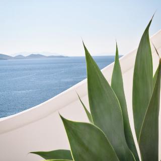 Anax Resort And Spa fotoÄŸrafÄ±