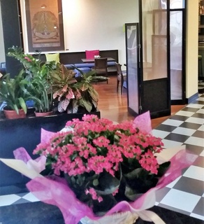 Verdemilia Hotel fotoÄŸrafÄ±