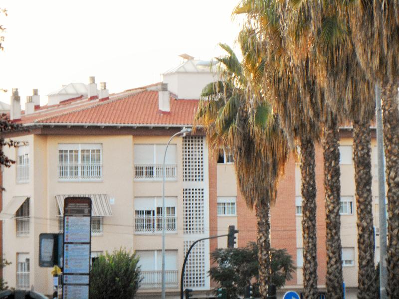 The Martin House - Genel