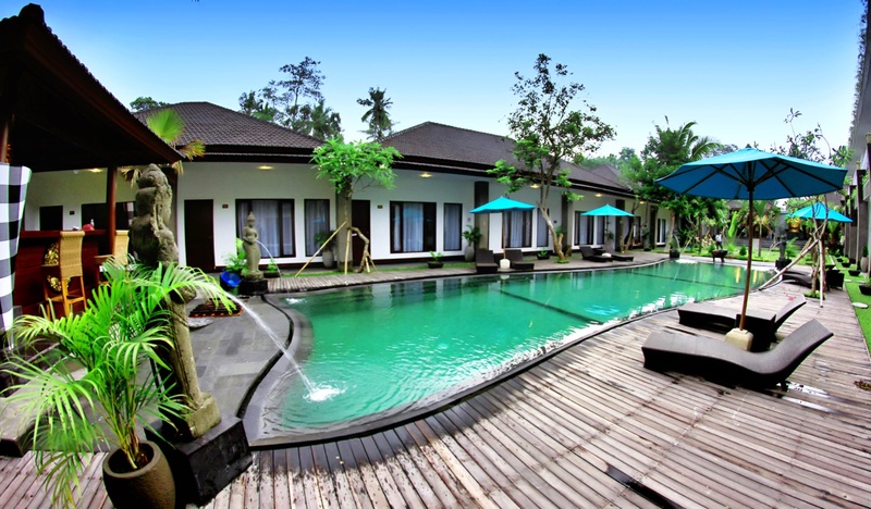 Ubud Raya Villa - Havuz