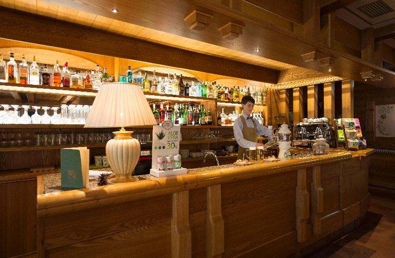 Du Lac Vital Mountain Hotel - Bar