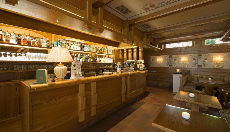 Du Lac Vital Mountain Hotel - Bar