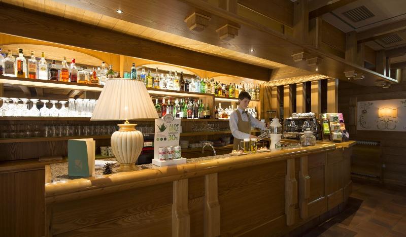 Du Lac Vital Mountain Hotel - Bar