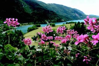 Du Lac Vital Mountain Hotel fotoÄŸrafÄ±