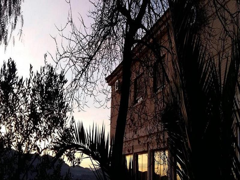Hotel Argos - Genel