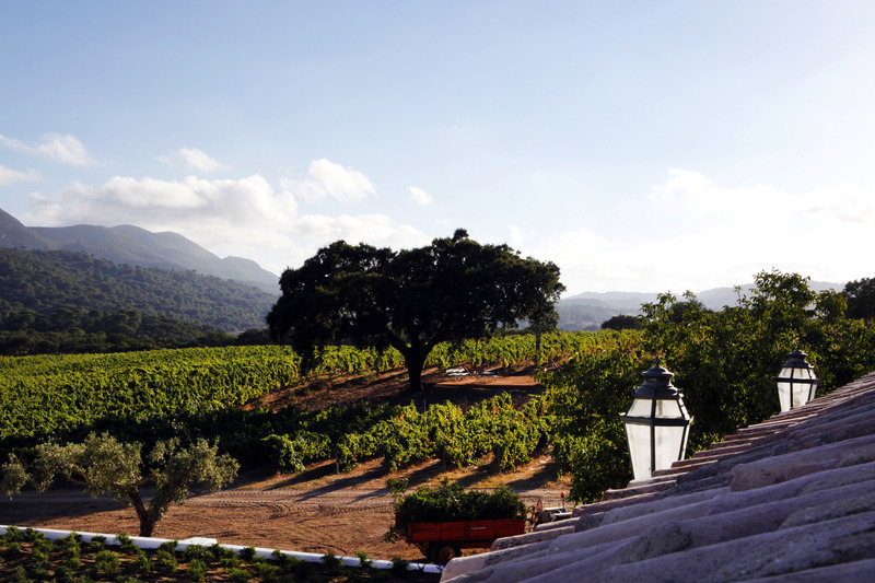 Casa Palmela - Small Luxury Hotels & Villas - Genel