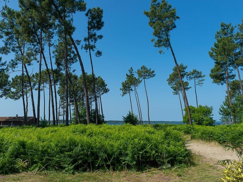 Le Domaine des Grands Lacs - Vacanceole - Genel
