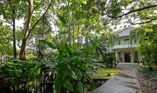 Eco Resort Chiang Mai fotoÄŸrafÄ±
