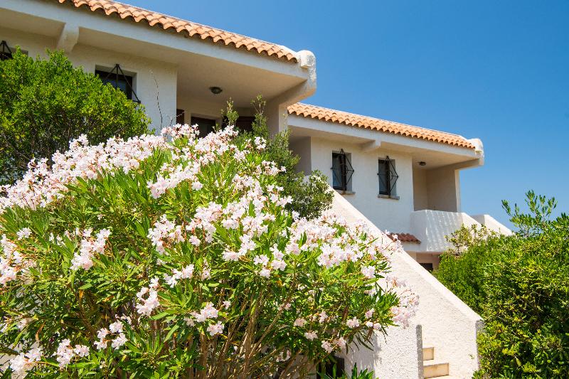Residence Baia Santa Reparata - Oda
