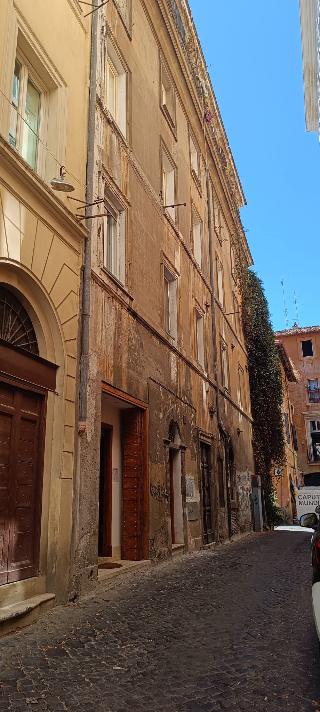 Domus Ester fotoÄŸrafÄ±