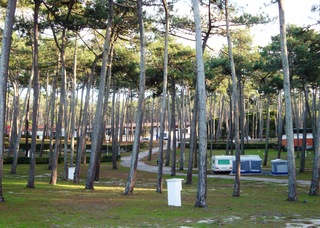 Orbitur Sao Pedro de Moel otel fotoğrafı
