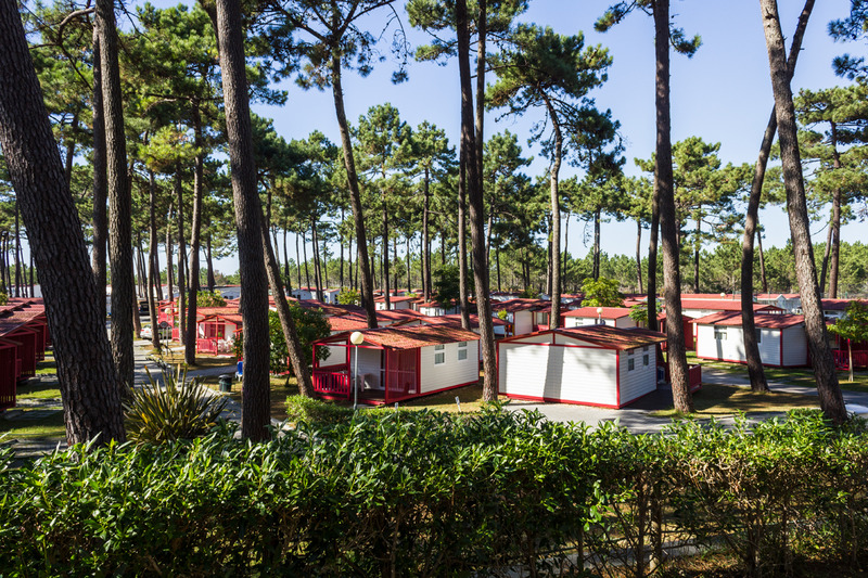 Orbitur Sao Pedro de Moel - Genel