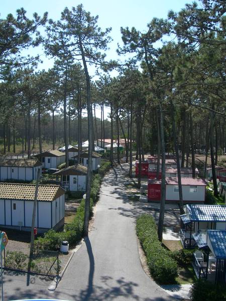 Orbitur Sao Pedro de Moel - Genel